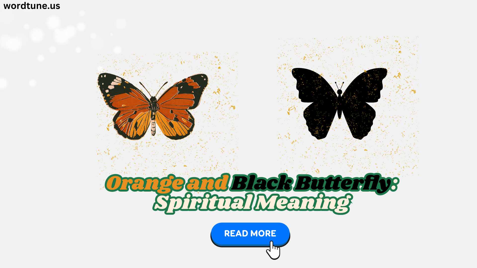 Orange and Black Butterfly: Spiritual Meaning