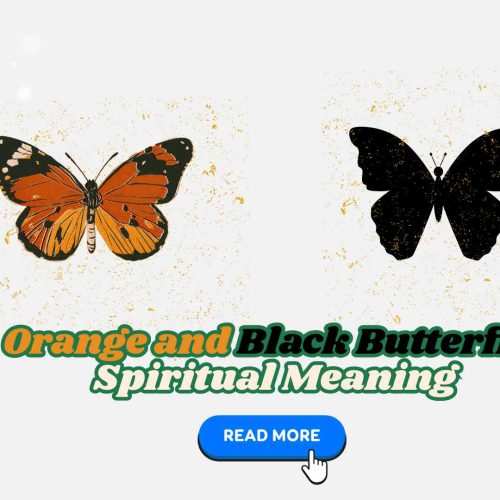 Orange and Black Butterfly: Spiritual Meaning